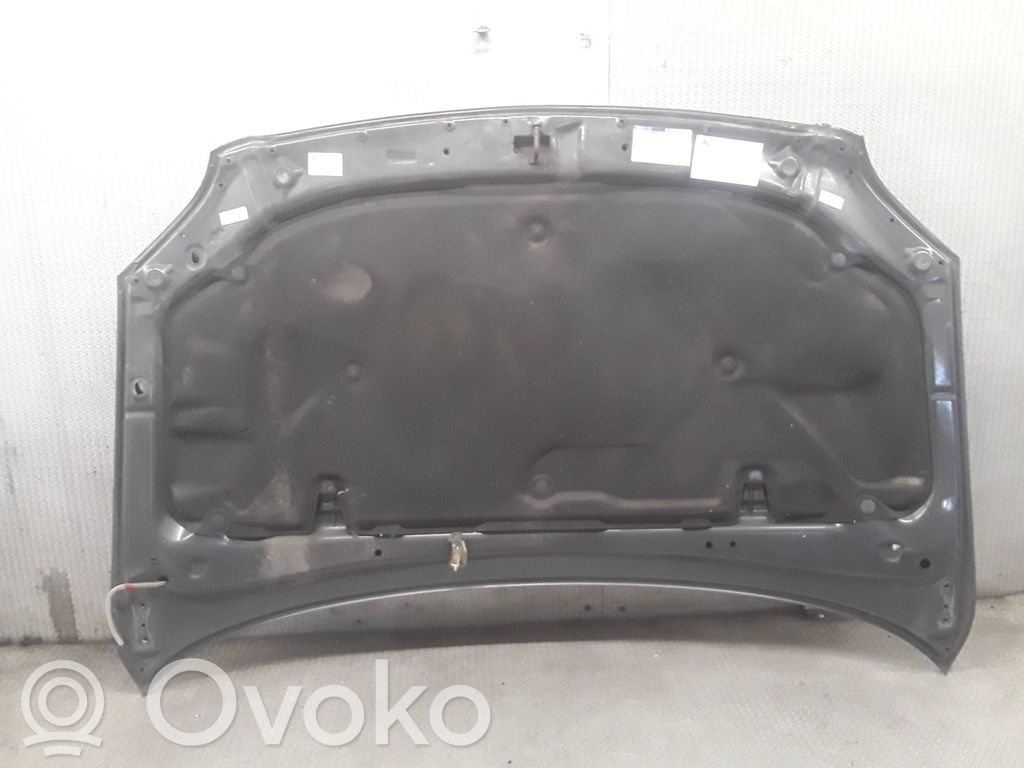 Vano motore/cofano