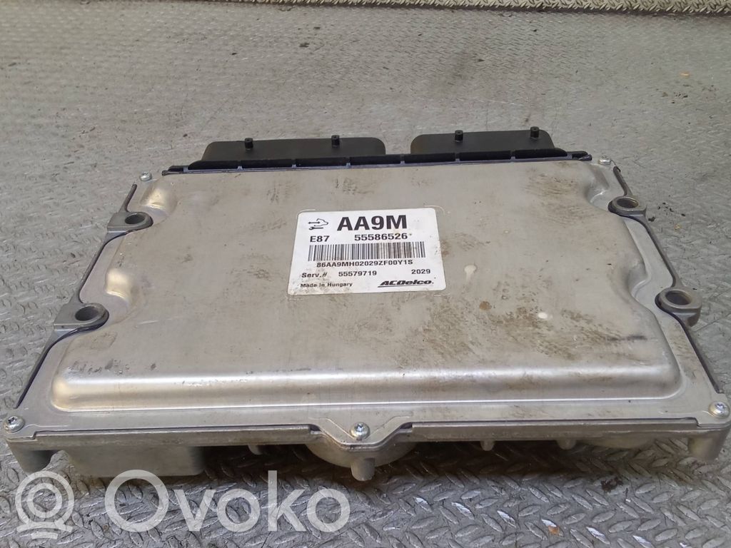 Opel Meriva B Centralina/modulo del motore