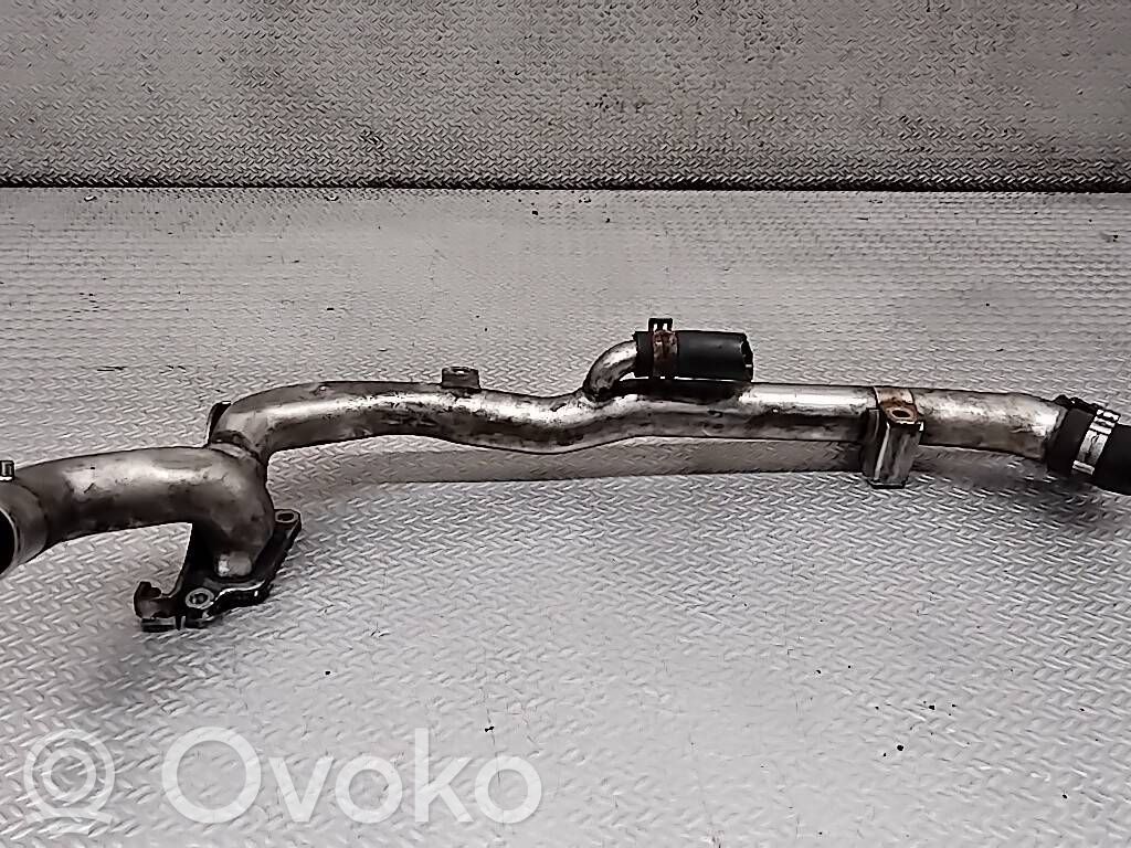 Przewód / Wąż chłodnicy   55188662