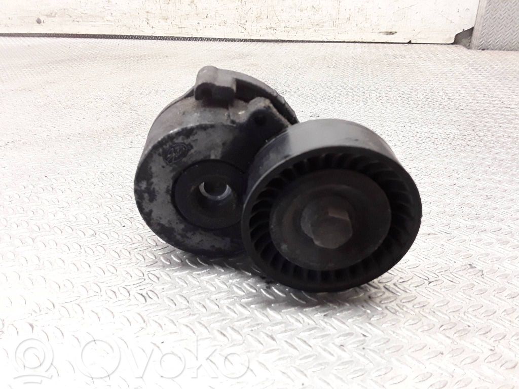 Citroen Jumpy Întinzător curea generator/alternator 