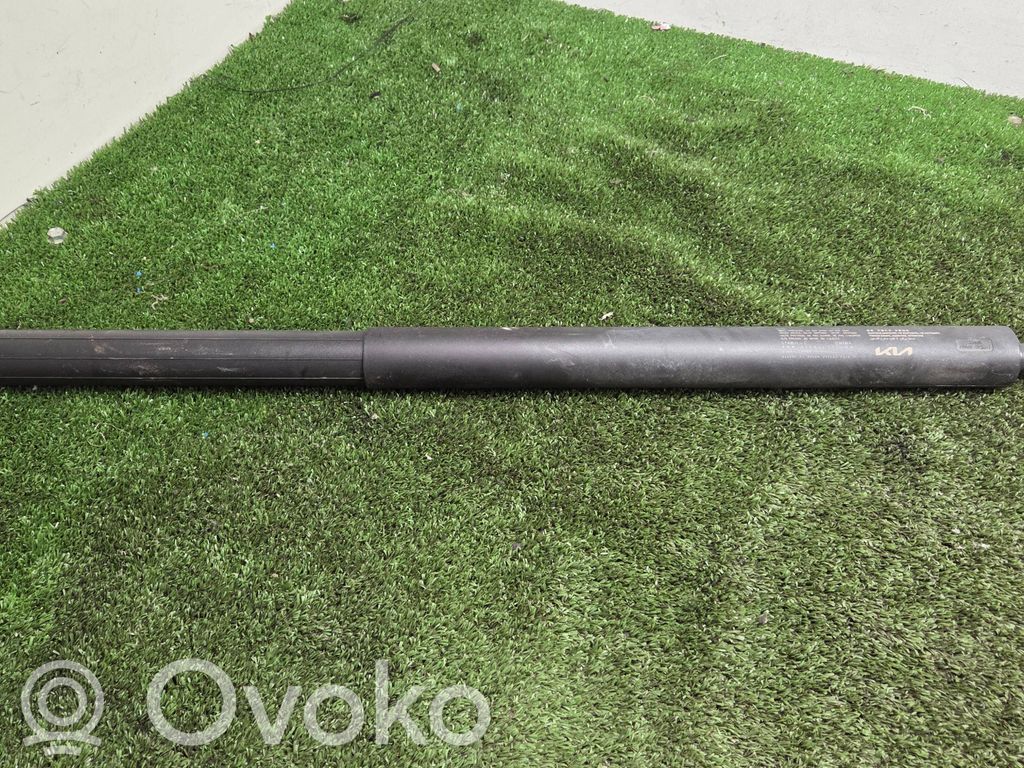Tailgate/trunk strut/damper   81841CV100