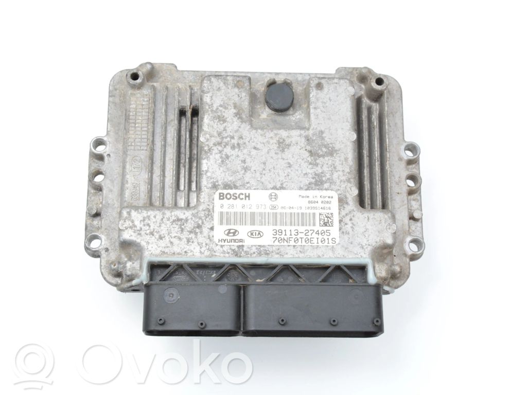 Engine control unit/module ECU   0281012973,3911327405,3911327405,3911327405,3911327405