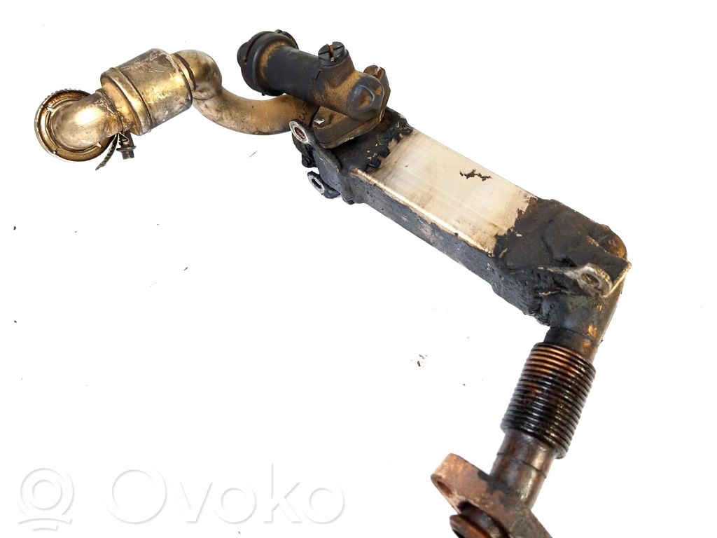 EGR aušintuvas   7790065,7790065,7790065A02,006819,7790065A02,C1310,N304