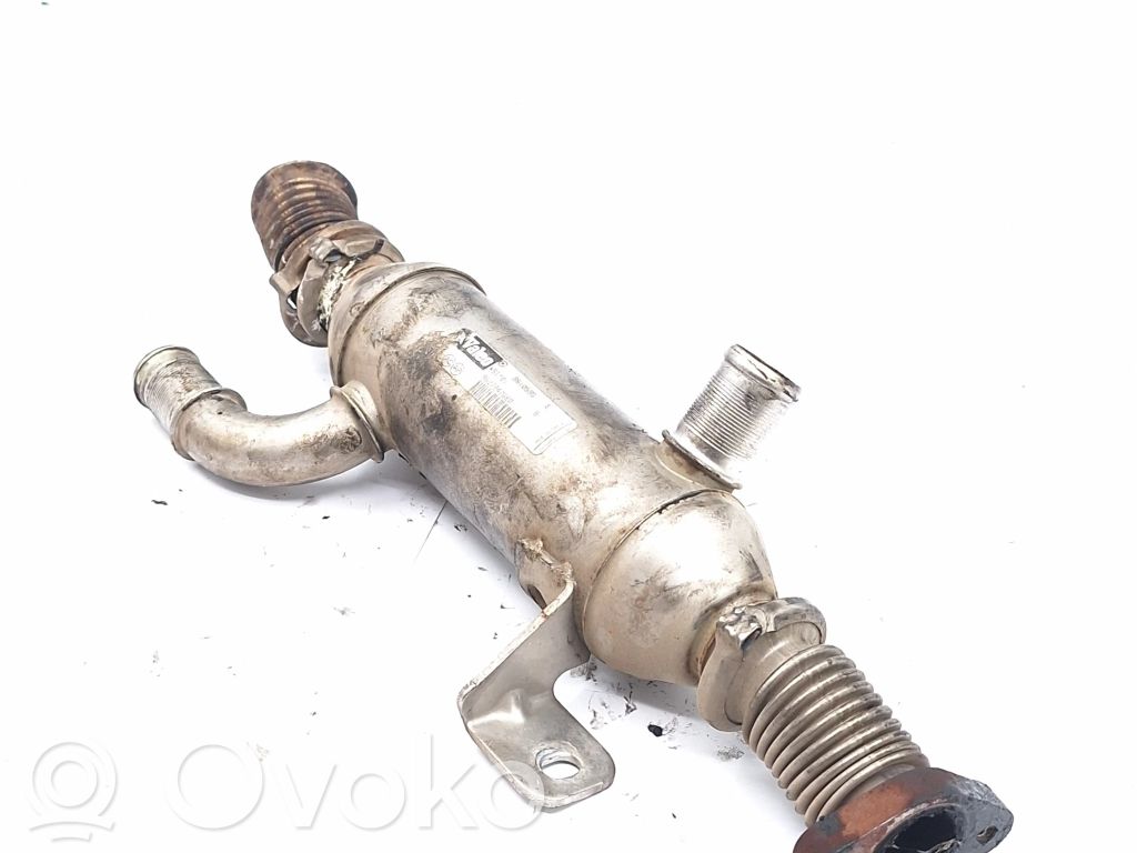 Citroen Xsara Picasso Valvola di raffreddamento EGR 