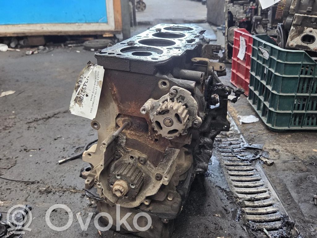 Volkswagen Golf V Bloque de motor 