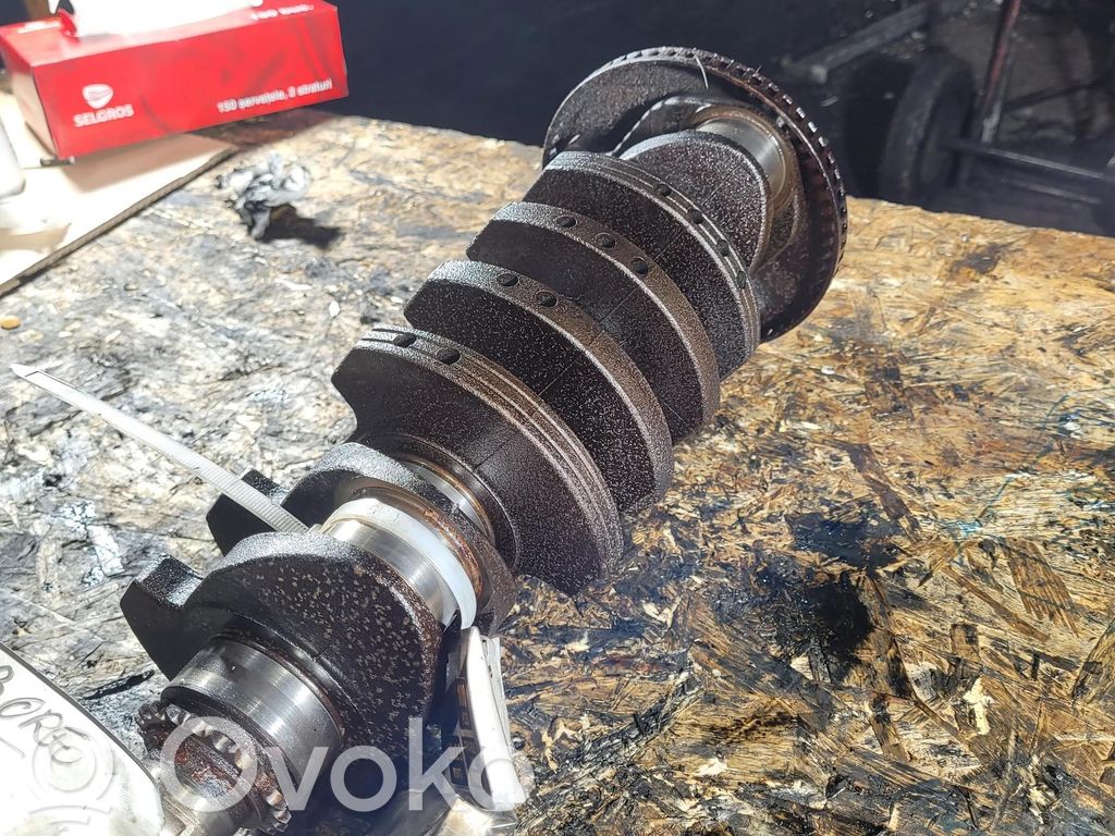 Audi A4 S4 B6 8E 8H Cigüeñal 