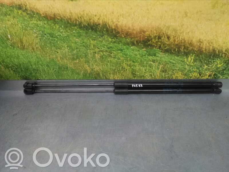 Tailgate/trunk strut/damper   39089133,260N,260N
