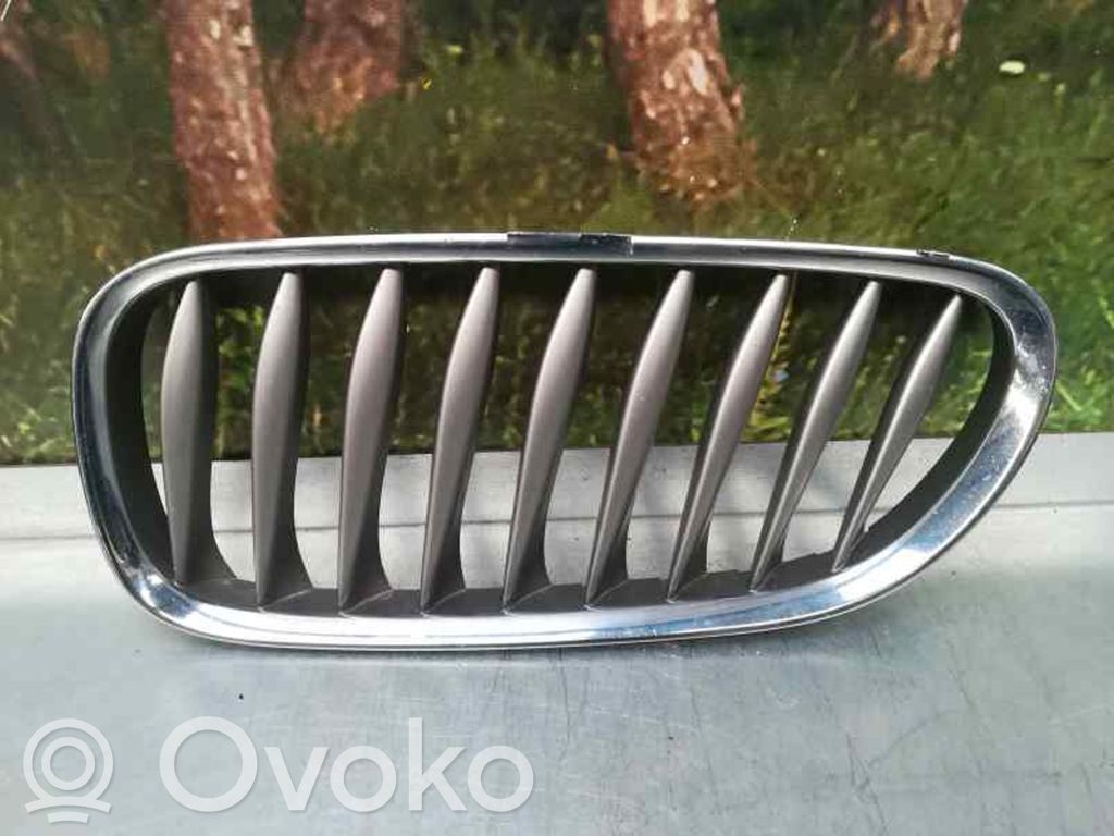 Front grill   51137018217