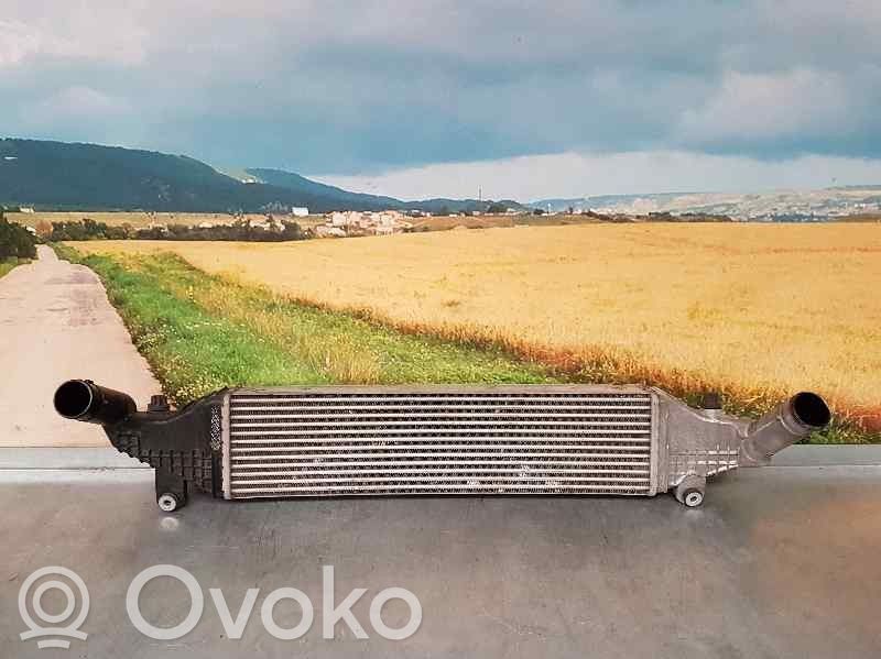 Radiador intercooler   Y60113550C