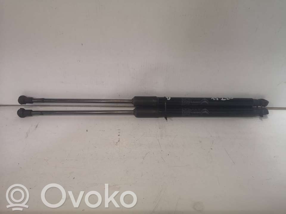 Citroen C3 Tailgate/trunk strut/damper 