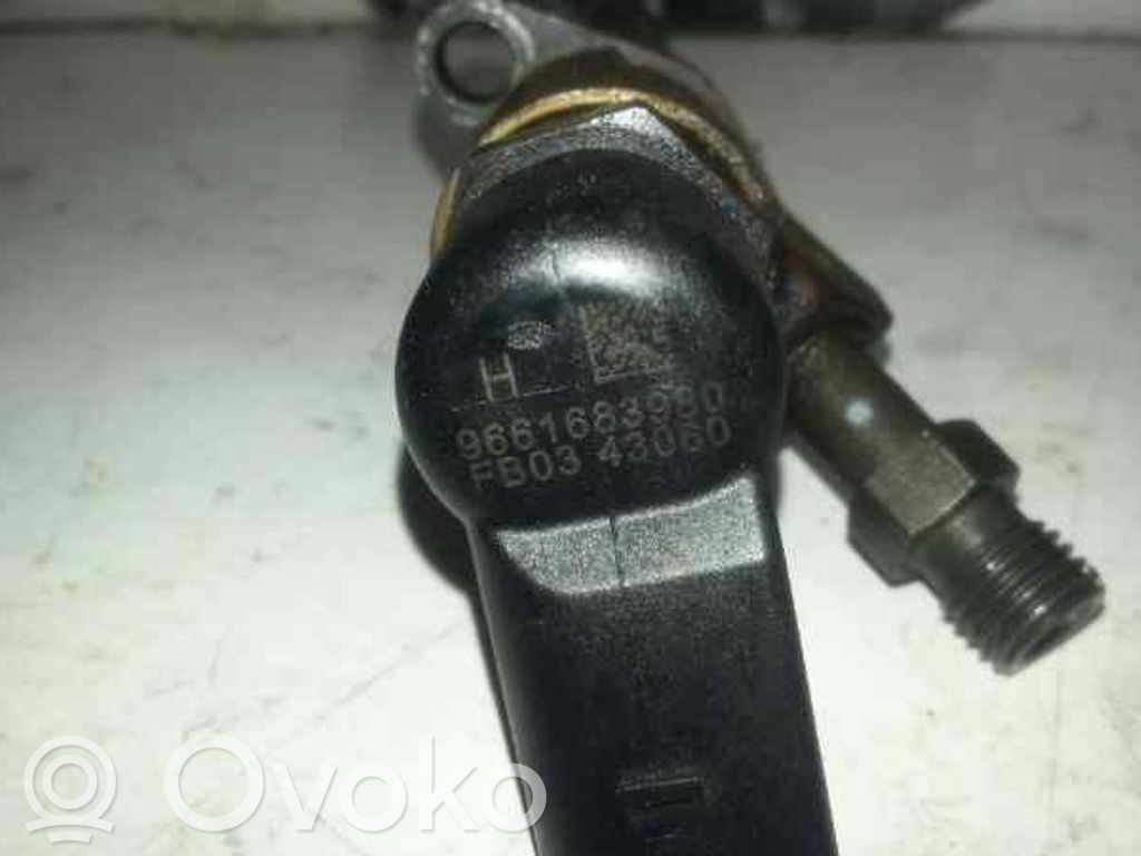 Citroen C5 Inyector de combustible 