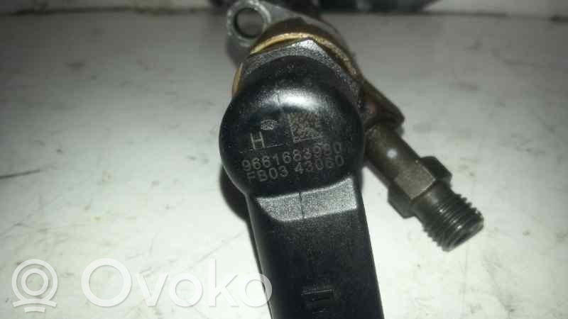 Citroen C5 Inyector de combustible 