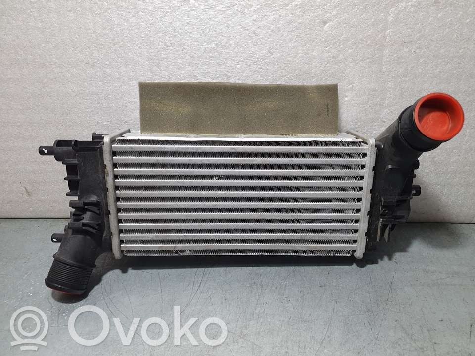 Radiatore intercooler   L1BG6D624AB,FOMOCO