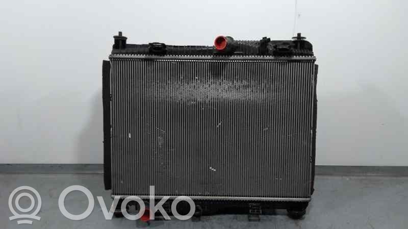 Ford Fiesta Radiator lichid răcire 