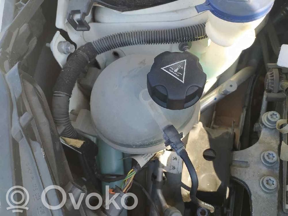 Peugeot 208 I Vas expansiune/rezervor lichid de răcire
