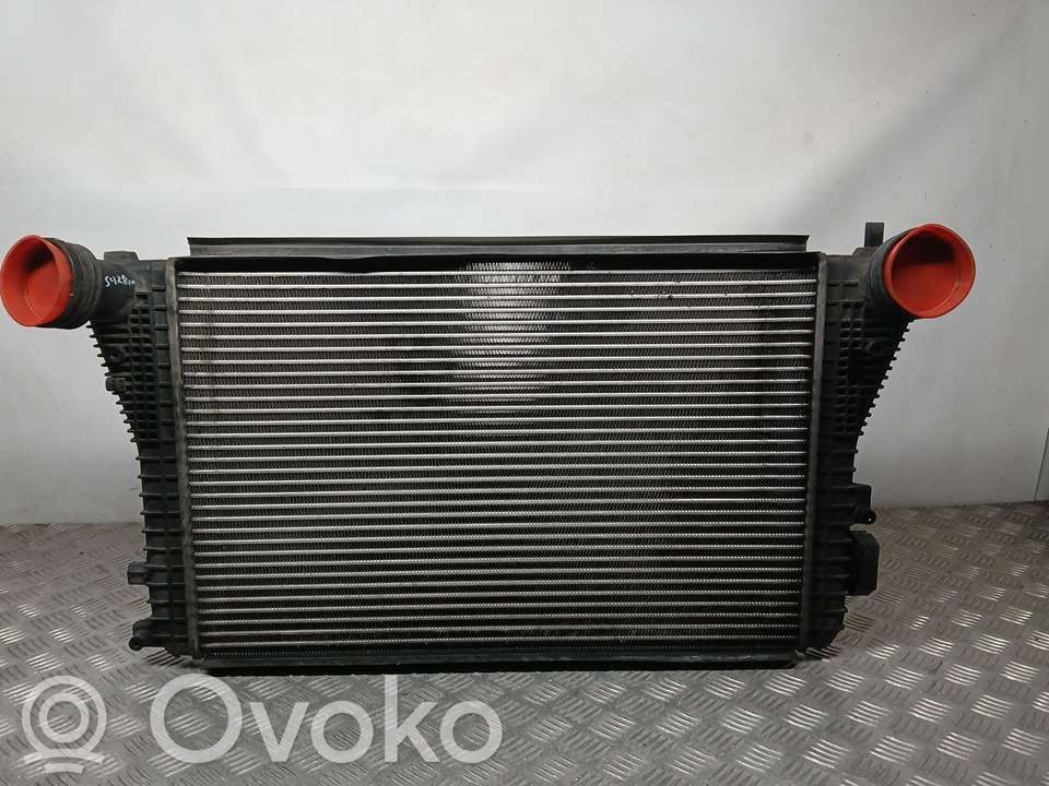 Skoda Octavia Mk2 (1Z) Ladeluftkühler 