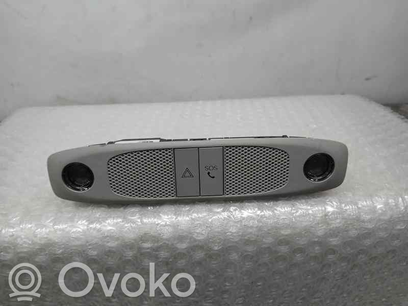 Tesla Model 3 Front seat light 