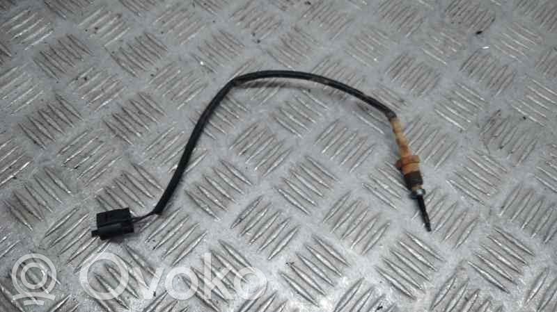 BMW X6 E71 Cita veida sensors 