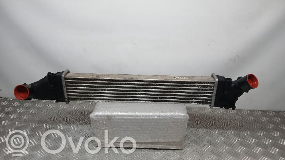 Radiador intercooler   8200424155