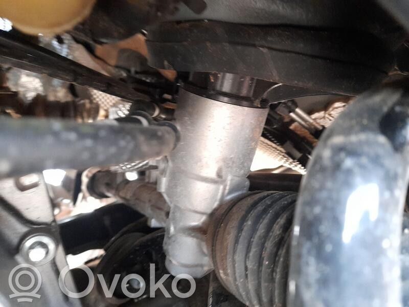 Lenkgetriebe   490017750R