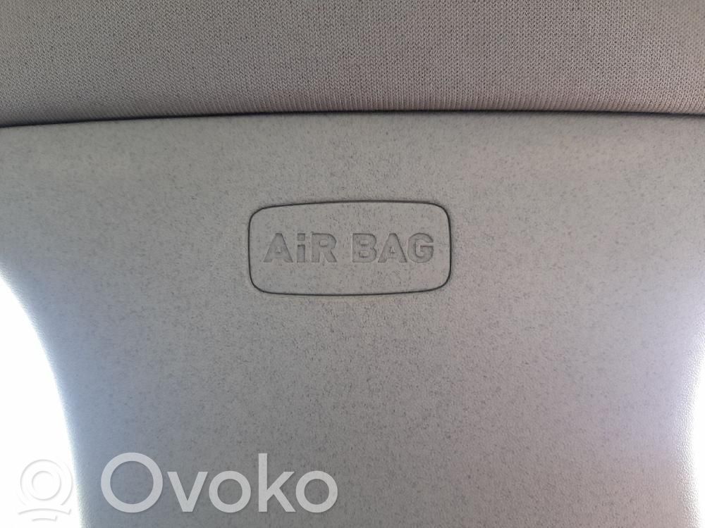 Airbag del techo   1P0880741D