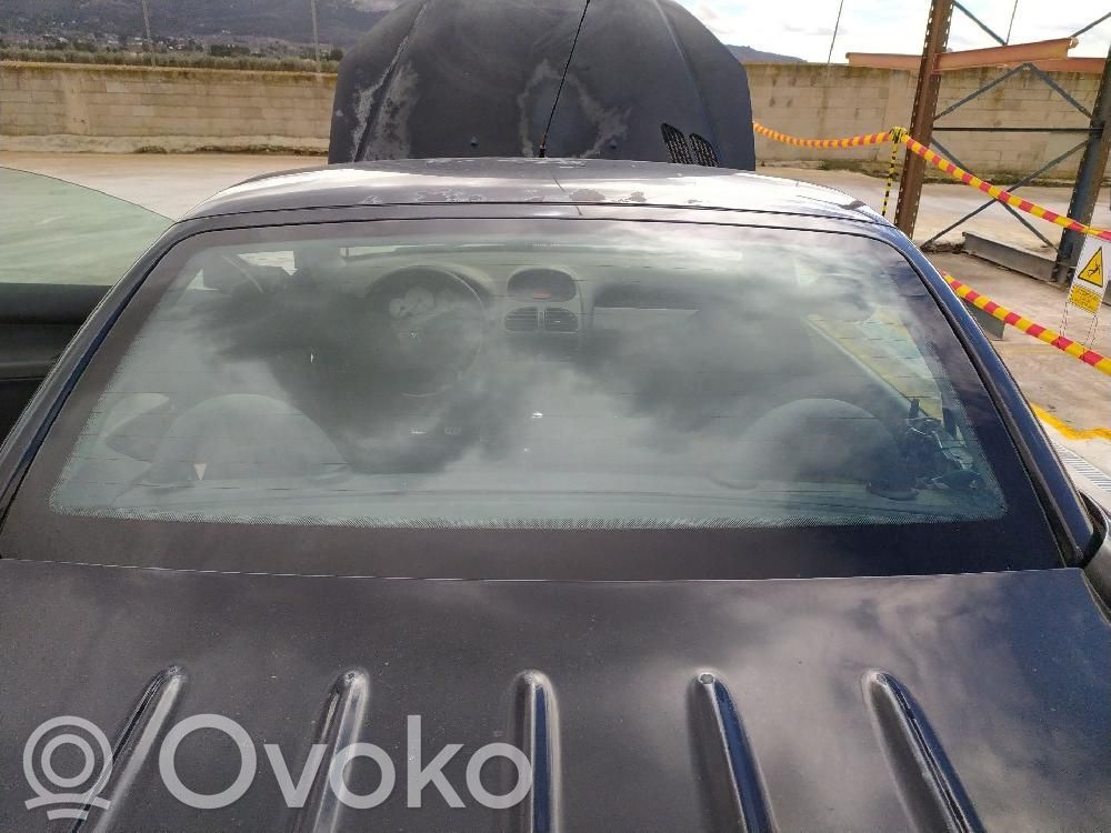 Peugeot 206 CC Lunetă spate 