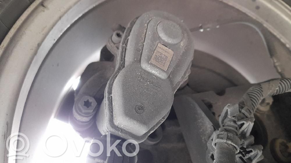 Takajarrusatula   440019919R