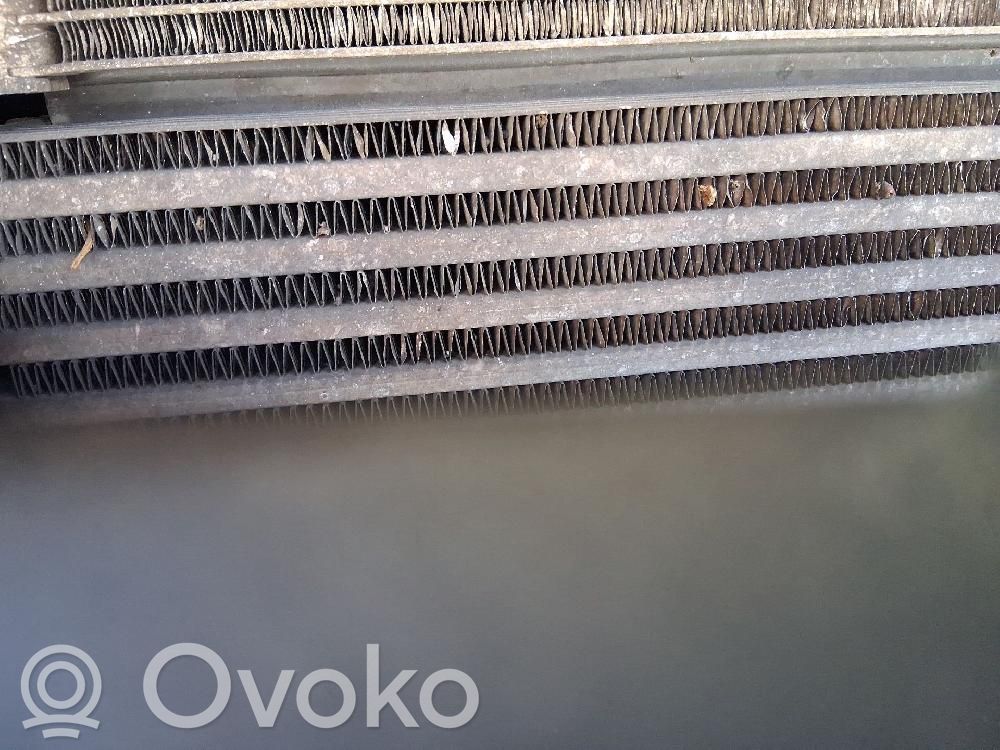 Volkswagen Polo V 6R Radiator intercooler