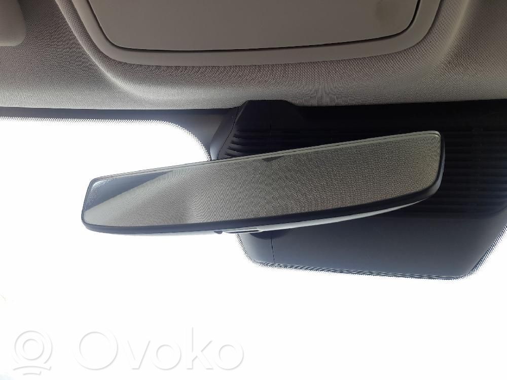 Specchietto retrovisore (interno)   10766063