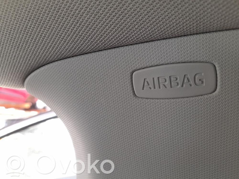 Skoda Octavia Mk3 (5E) Airbag da tetto