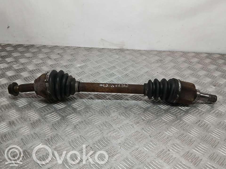 Priekšējā pusass   1602947