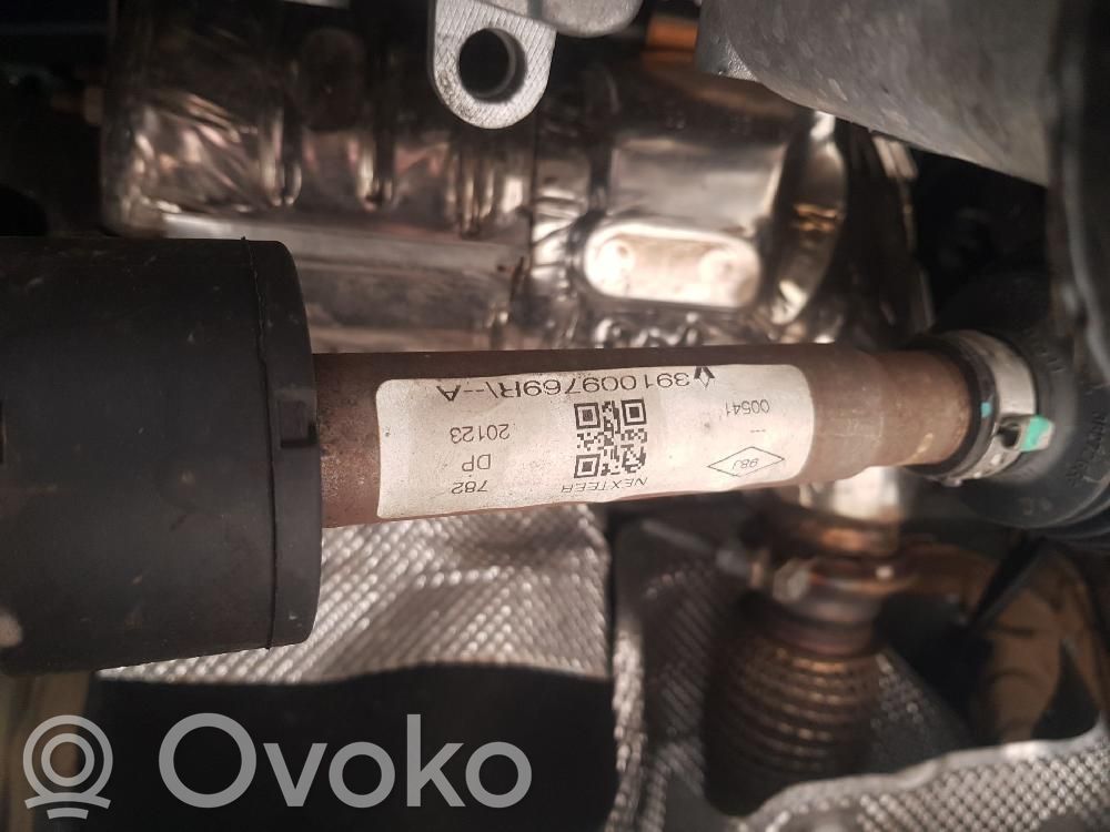 Eje de transmisión delantero   391009769R