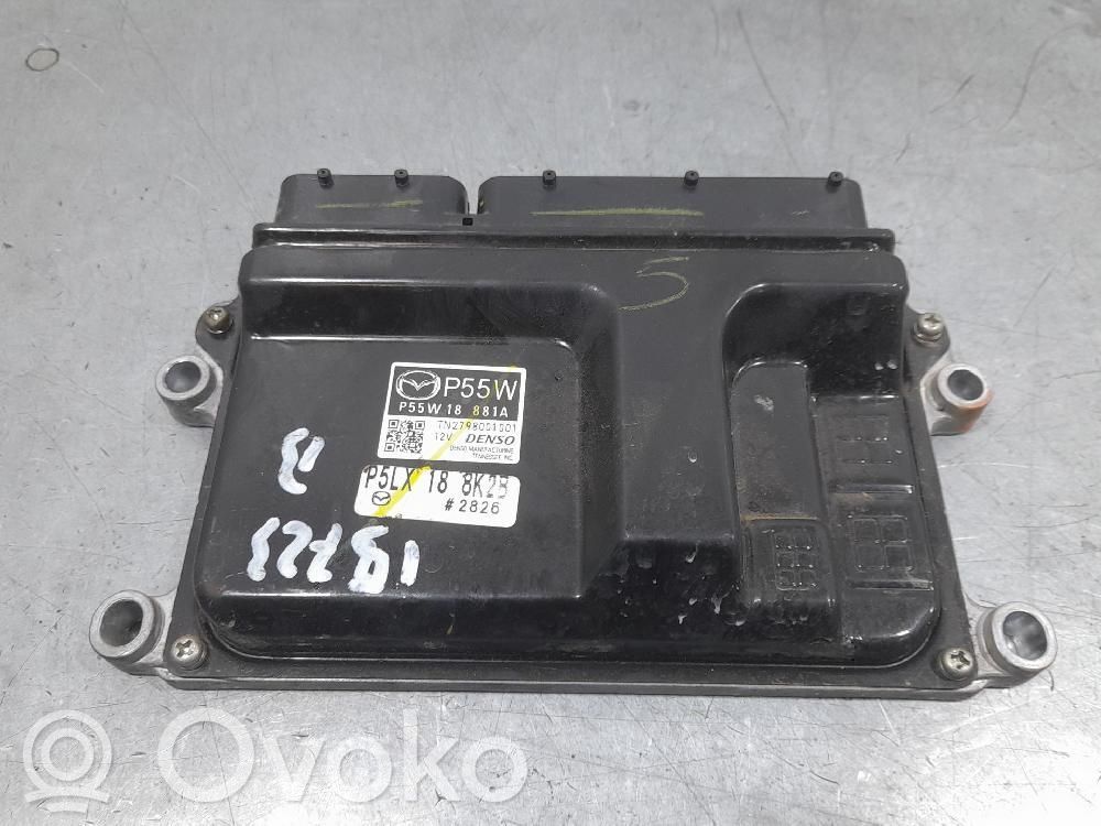 Engine control unit/module   P55W18881A,DENSO