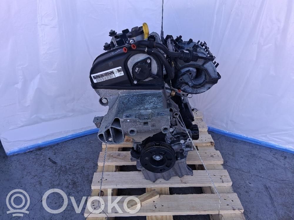 Motor   DFN,09135