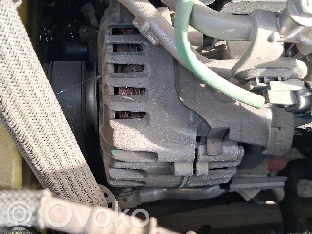 Alternator   231006293R