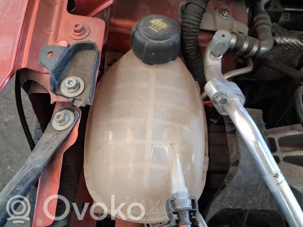 Renault Clio V Serbatoio di compensazione del liquido refrigerante/vaschetta