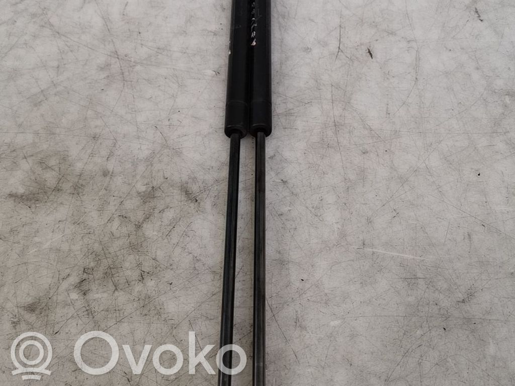 Ford Focus Tailgate/trunk strut/damper 