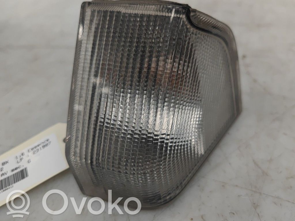 Seitenblinker