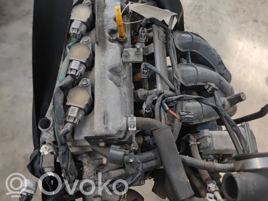 Motor