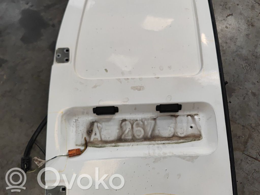 Peugeot Expert Krovinių (bagažinės) durys 
