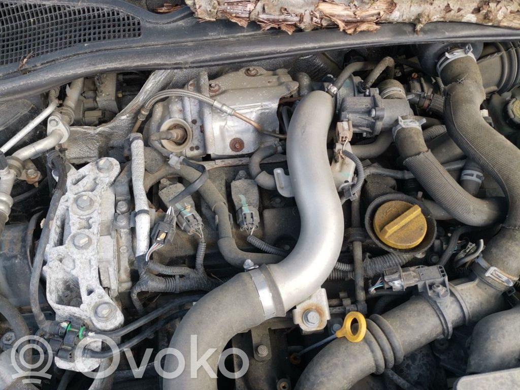 Variklis   101027065R