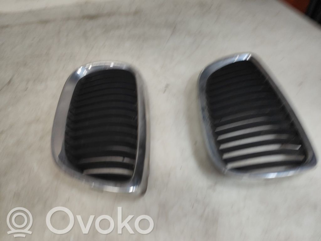 Kühlergrill   51137157276