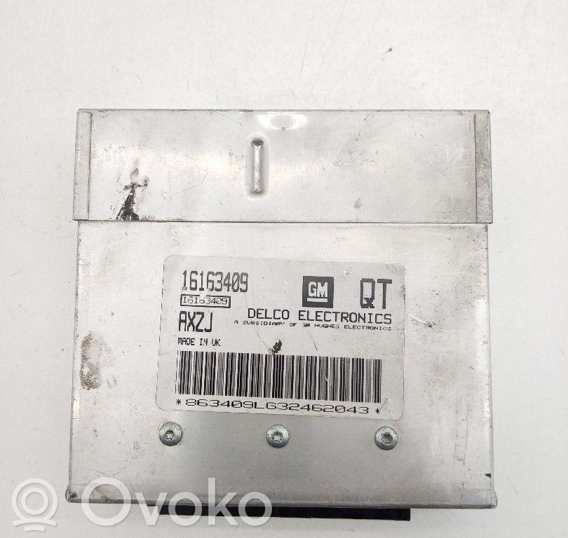 Engine control unit/module   16163409,AXZJ,DELCOELECTRONICS,QT
