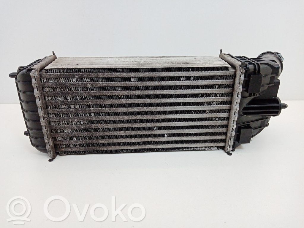 Interkūlerio radiatorius   9803900780,BEHR,CV448003
