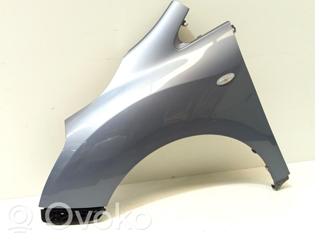 Guardabarro   538120F020