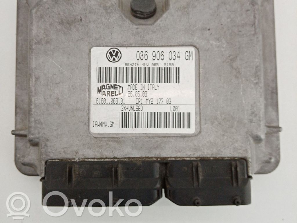 Engine control unit/module   036906034GM,6160106801