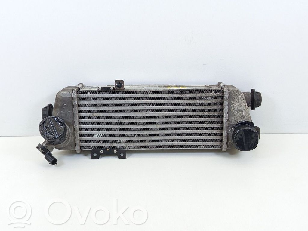 Intercooler radiator   282702A62X,282702A62X