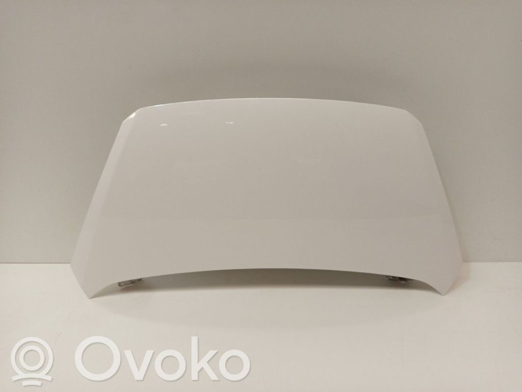 Motorhaube   664001Y010
