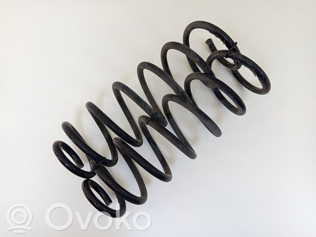 Rear coil spring   5102Z5