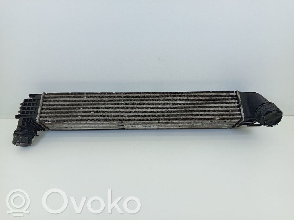 Renault Scenic III -  Grand scenic III Radiador intercooler 